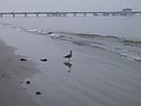 IMG_0079